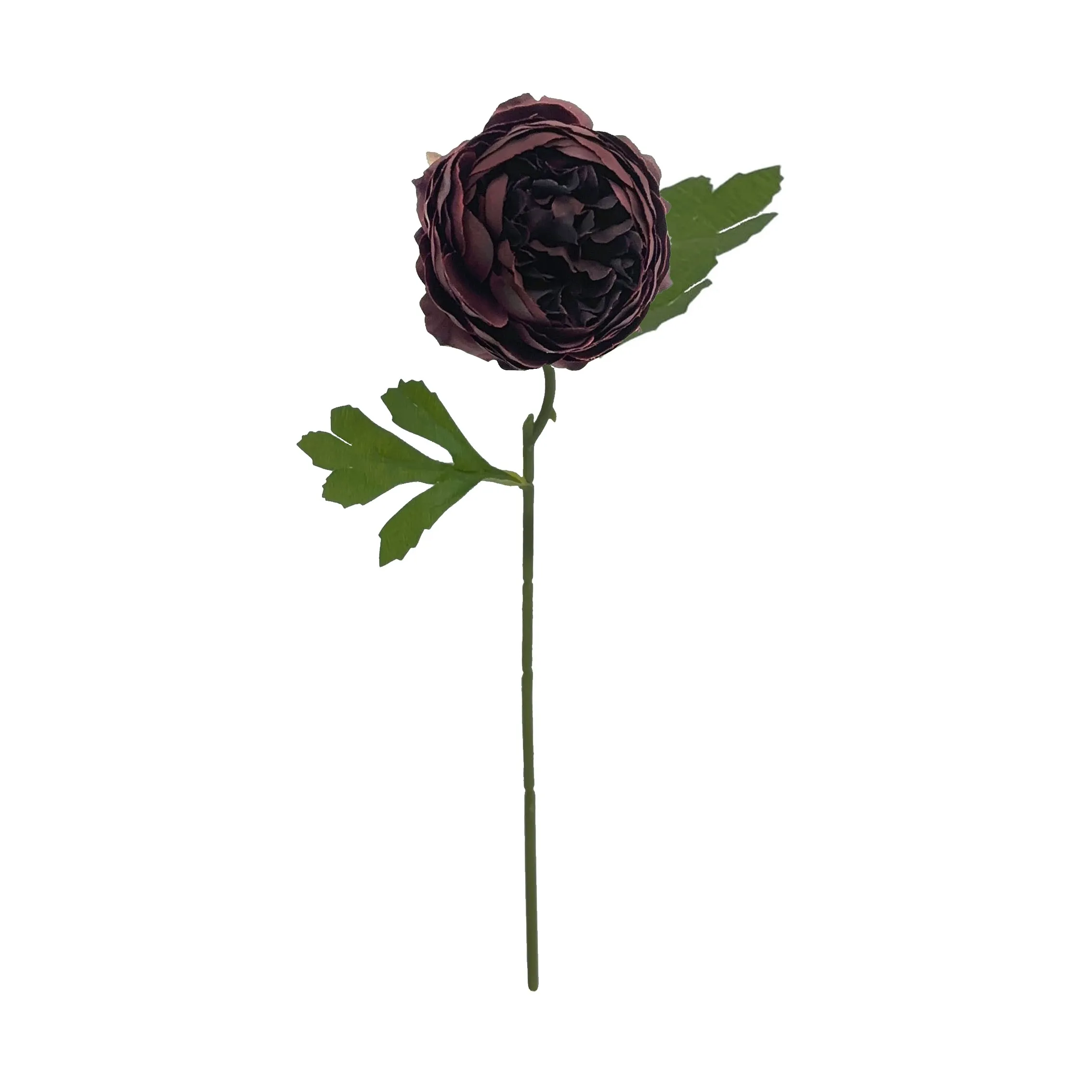 Pivoines mono-tête