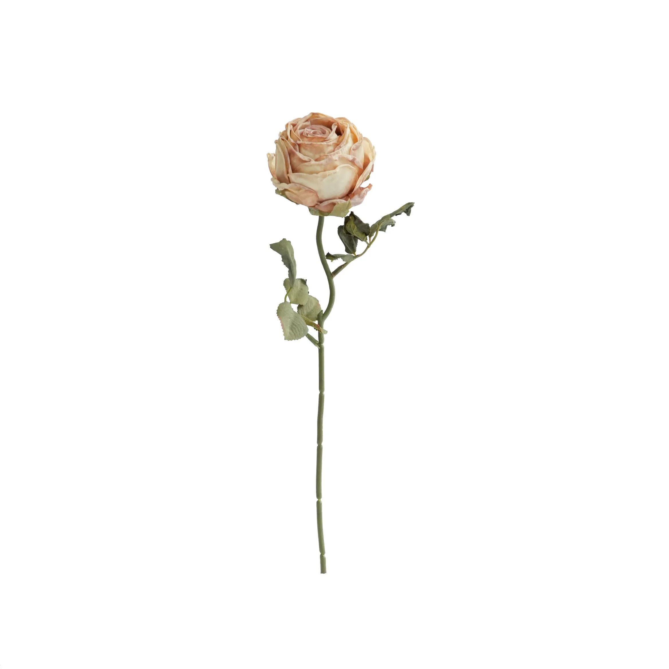 Roses rondes hachées