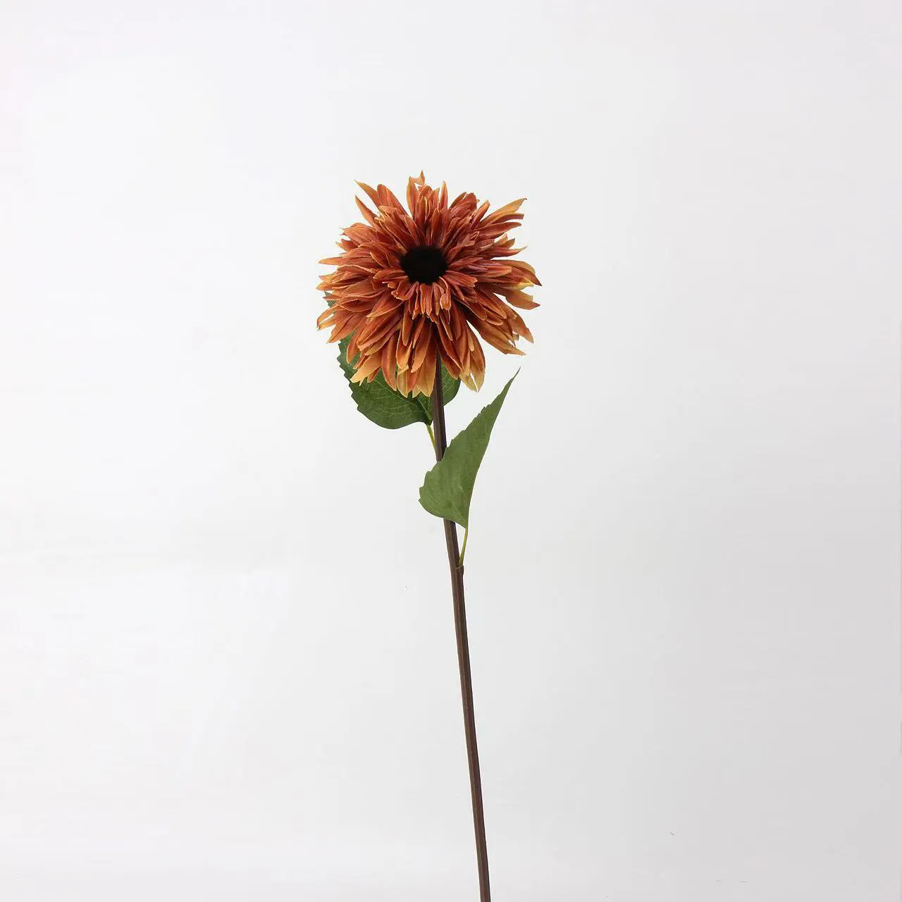 peinture à l'huile de tournesols