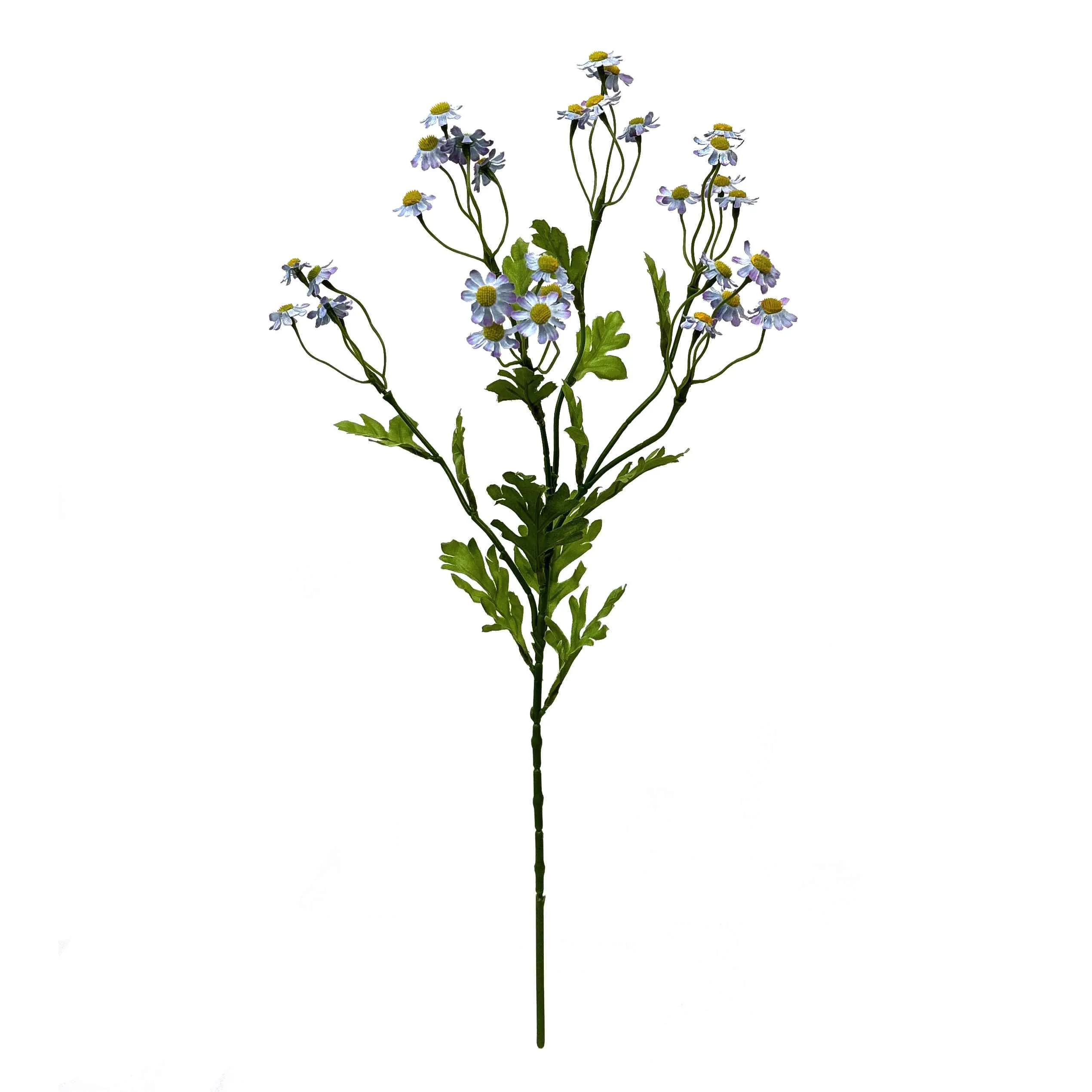 Une seule petite marguerite