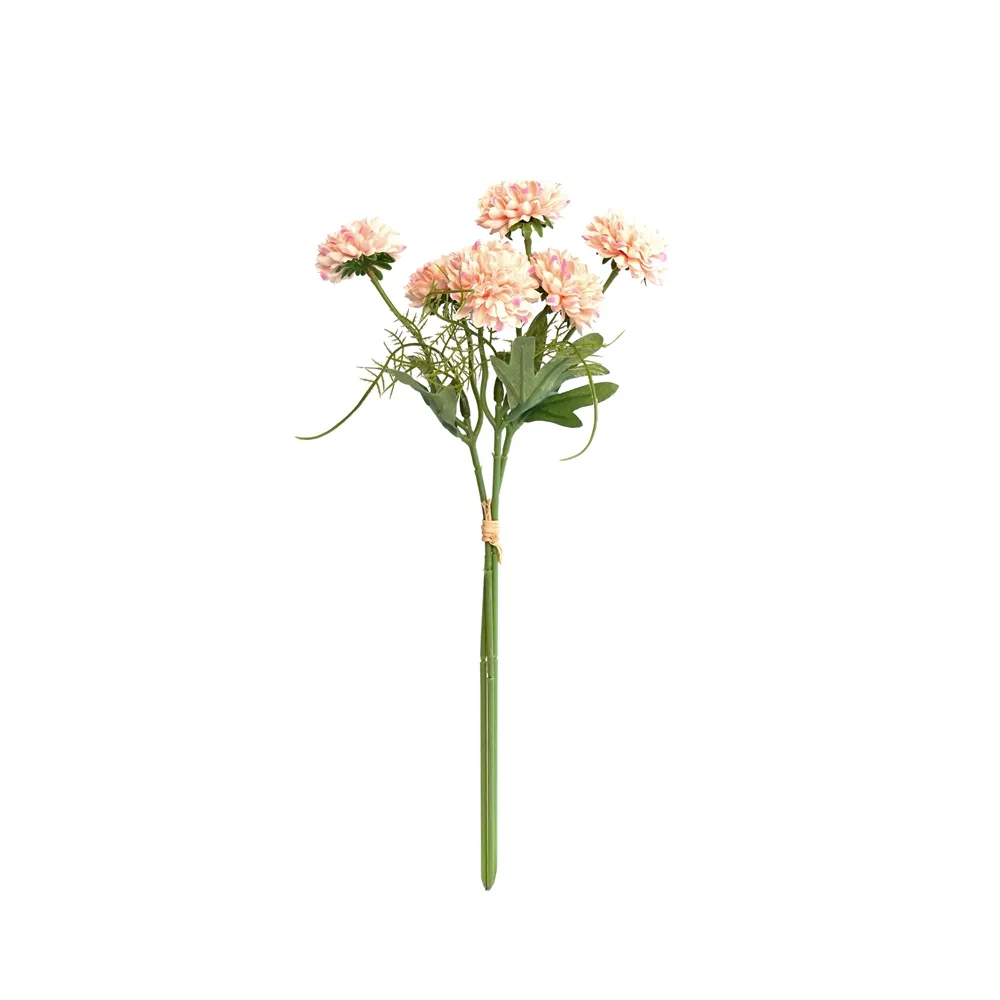Un tas de chrysanthemums