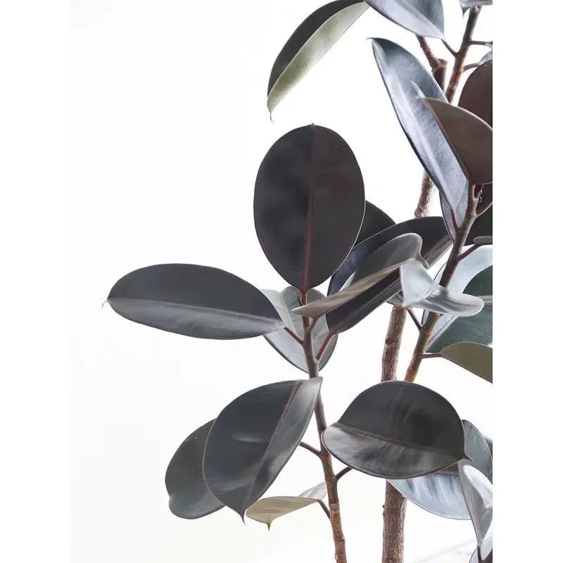 Plante en pot en caoutchouc artificiel