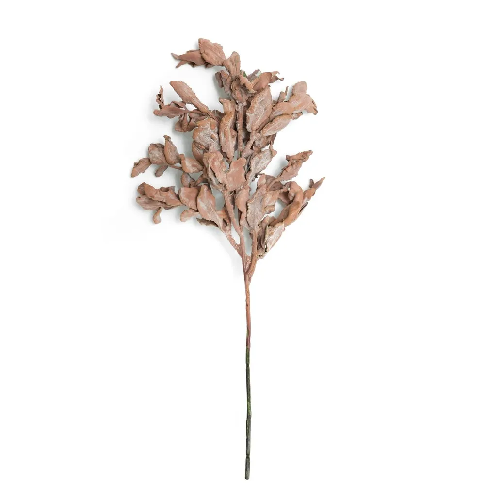 Feuille de yuanbao raccourci