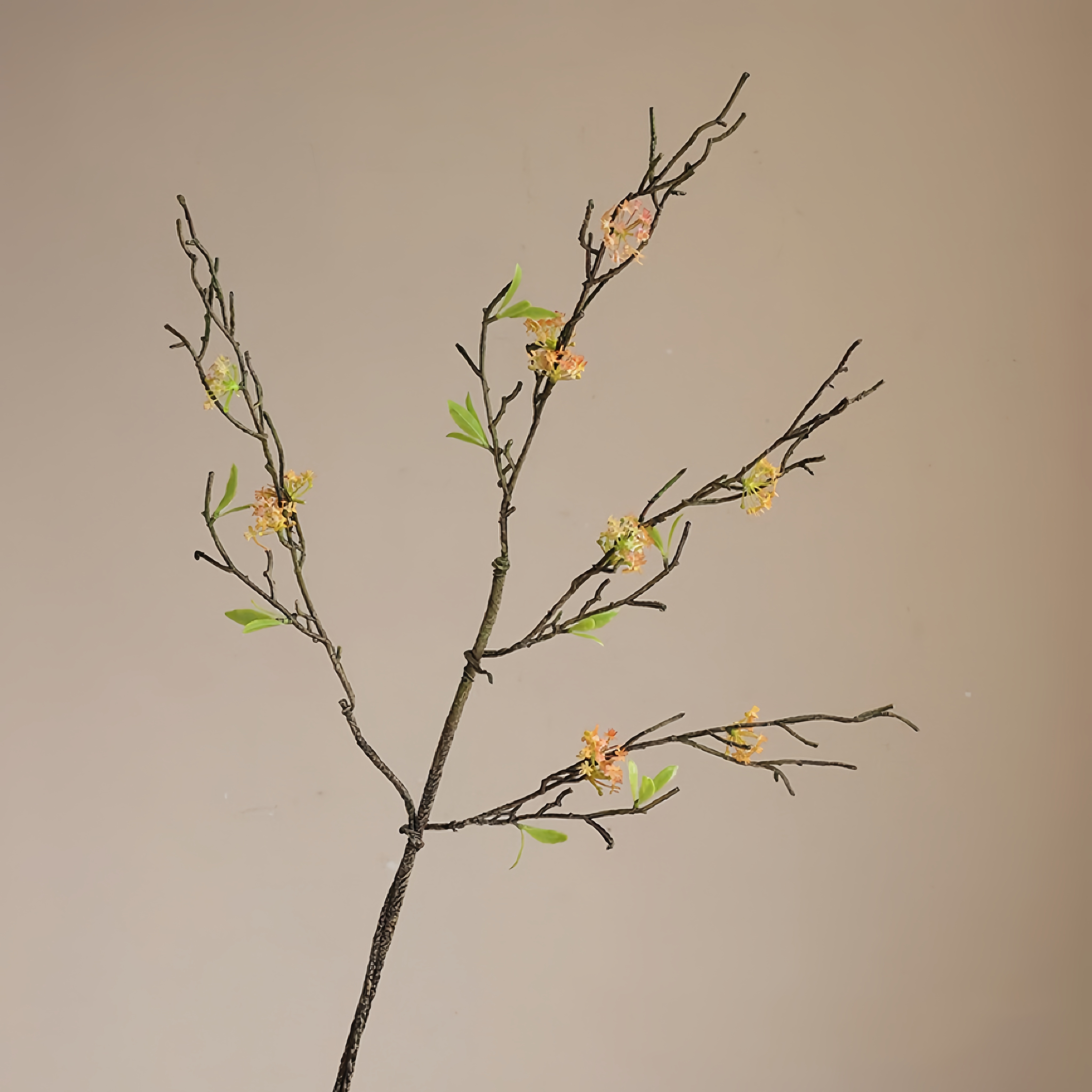 Branche de fleur de poire de poire de paille rétro
