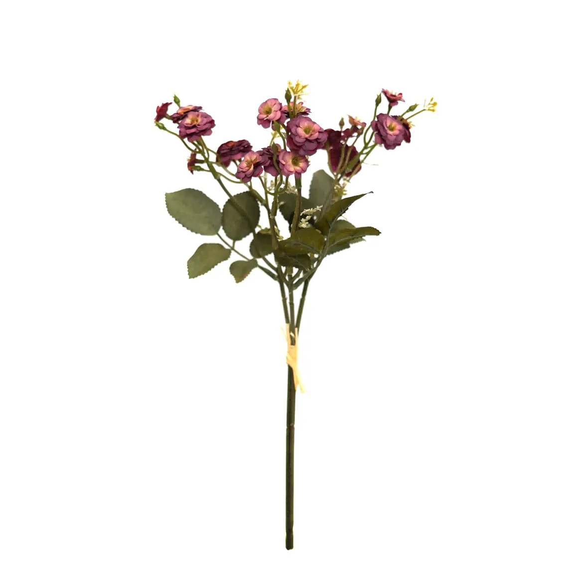 petites roses