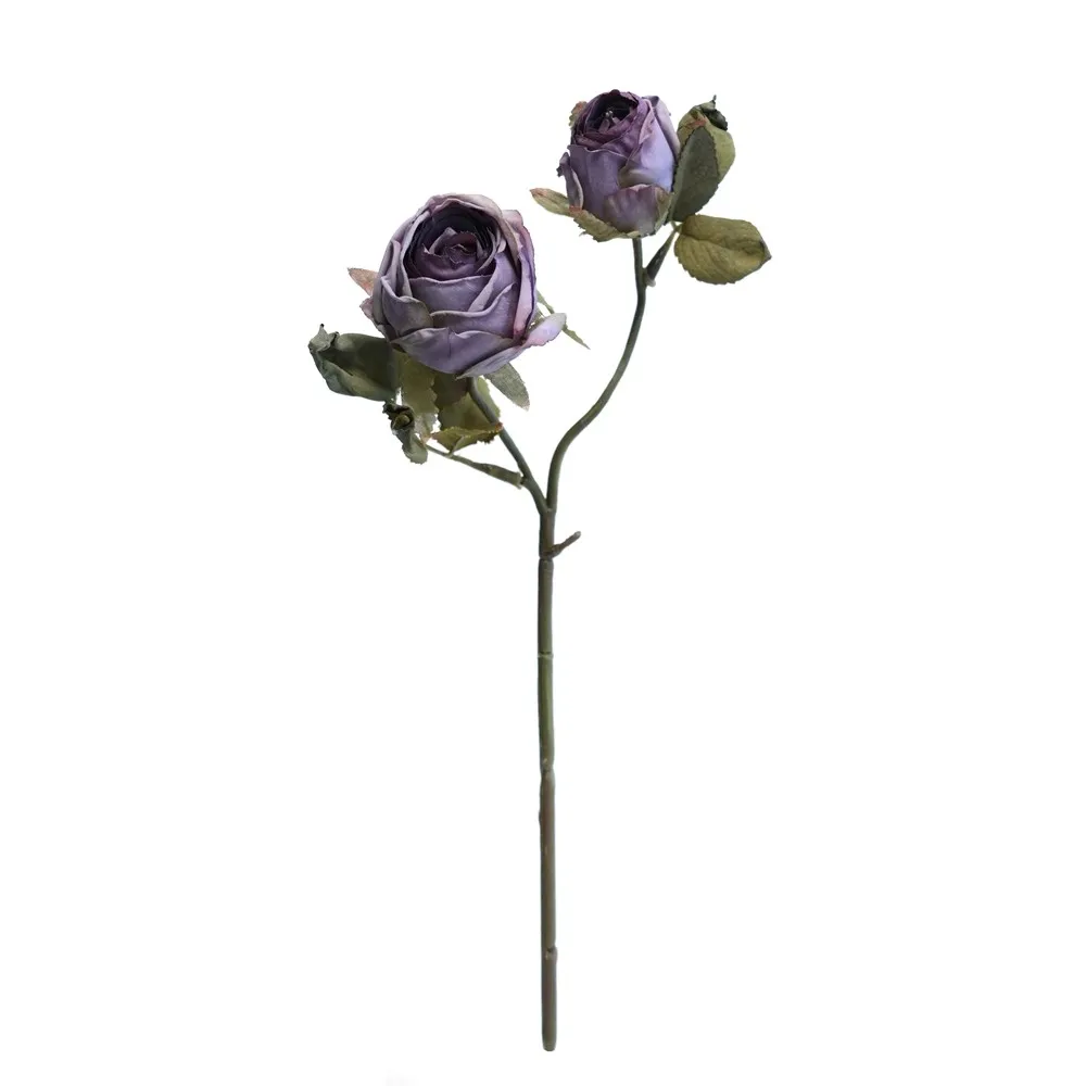 2 têtes de Vénus