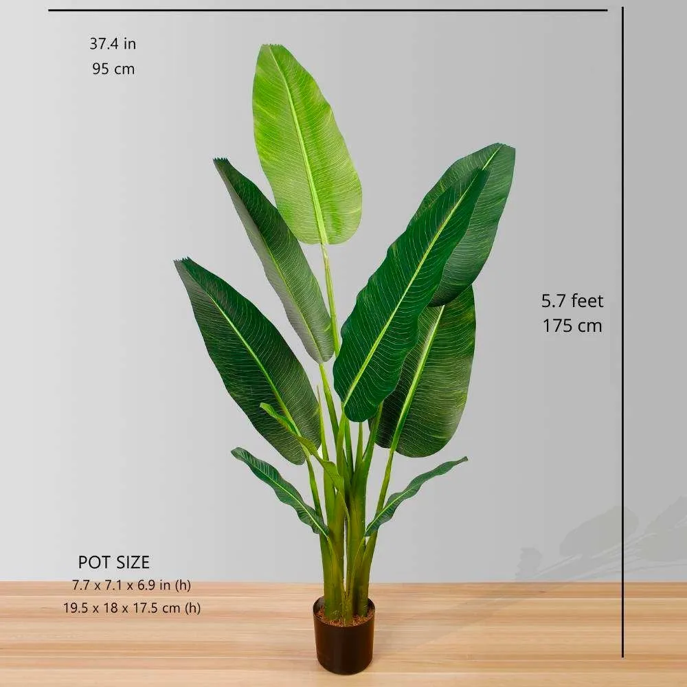 Voyageurs artificiels plante en pot de palmier