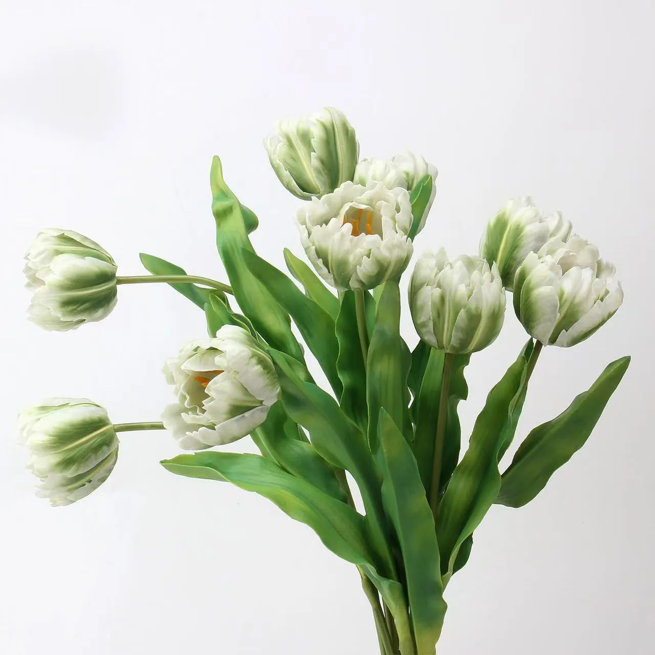 tulip rococo