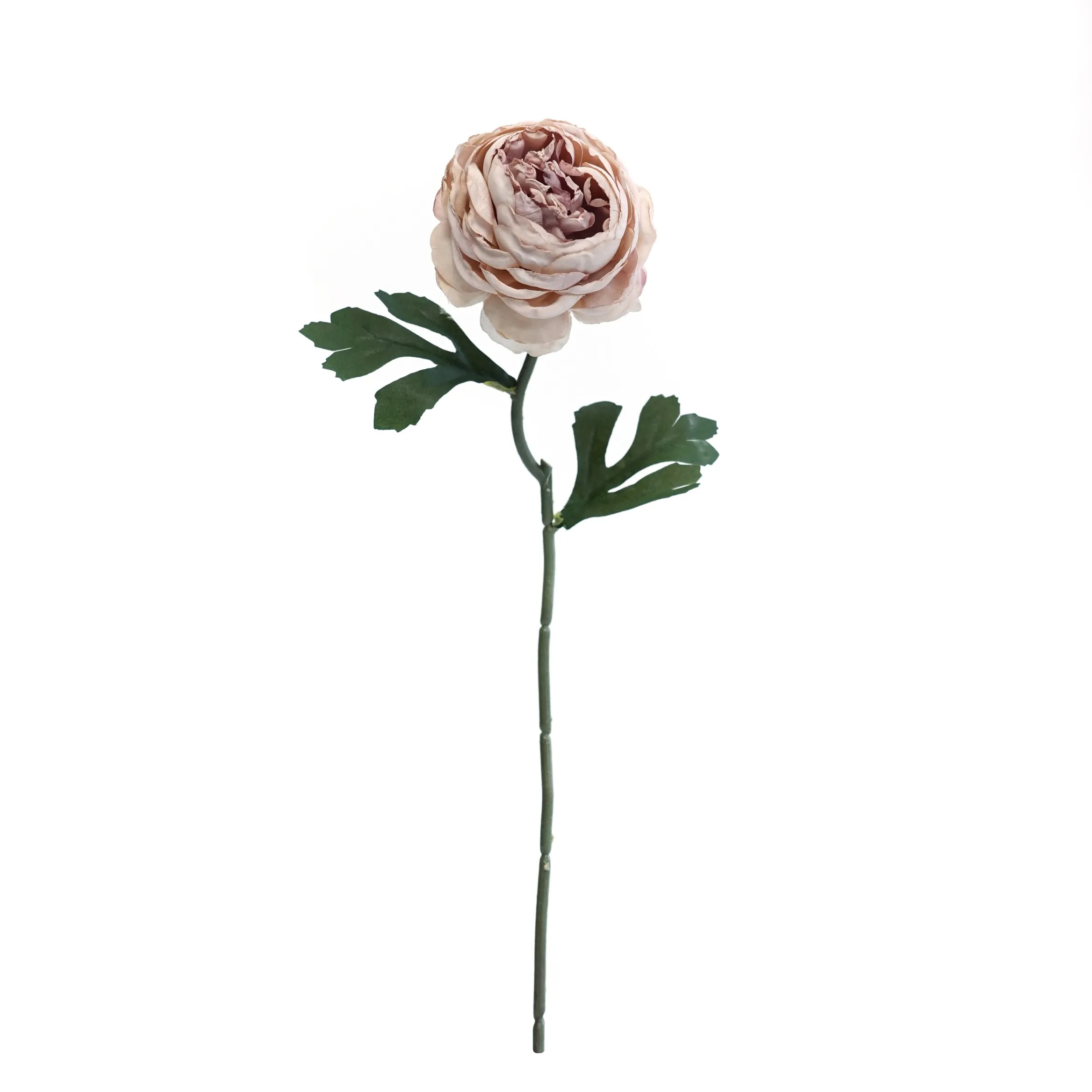 Pruques de thé hachées