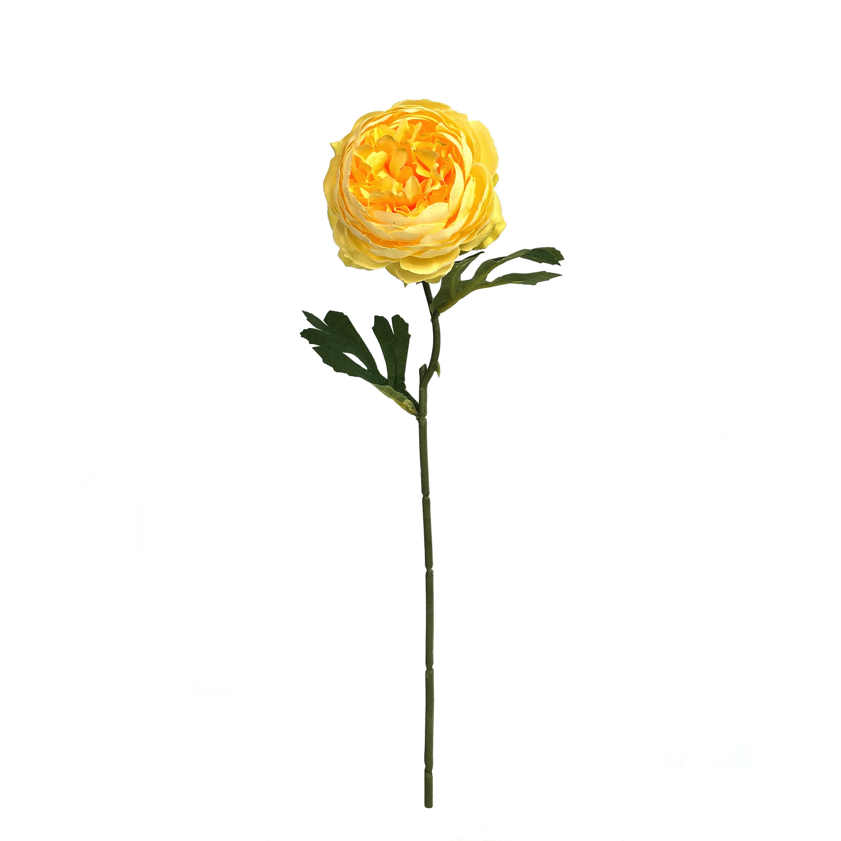 Pivoines mono-tête