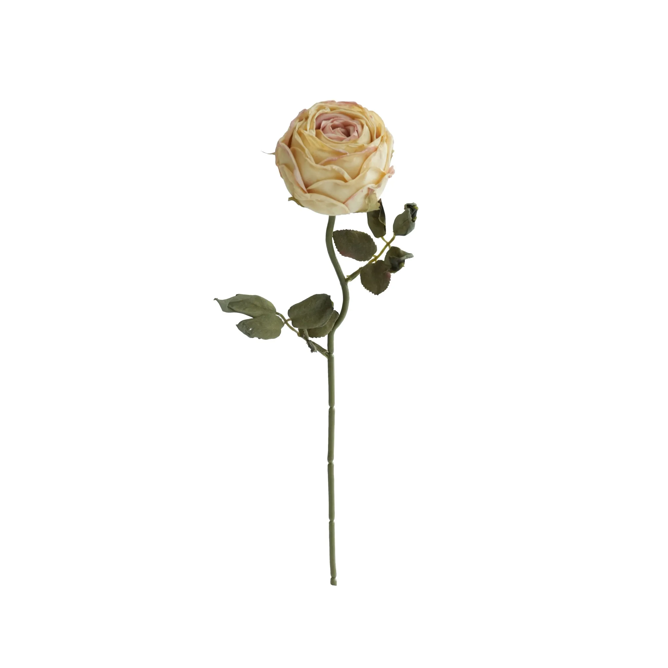 Roses rondes hachées