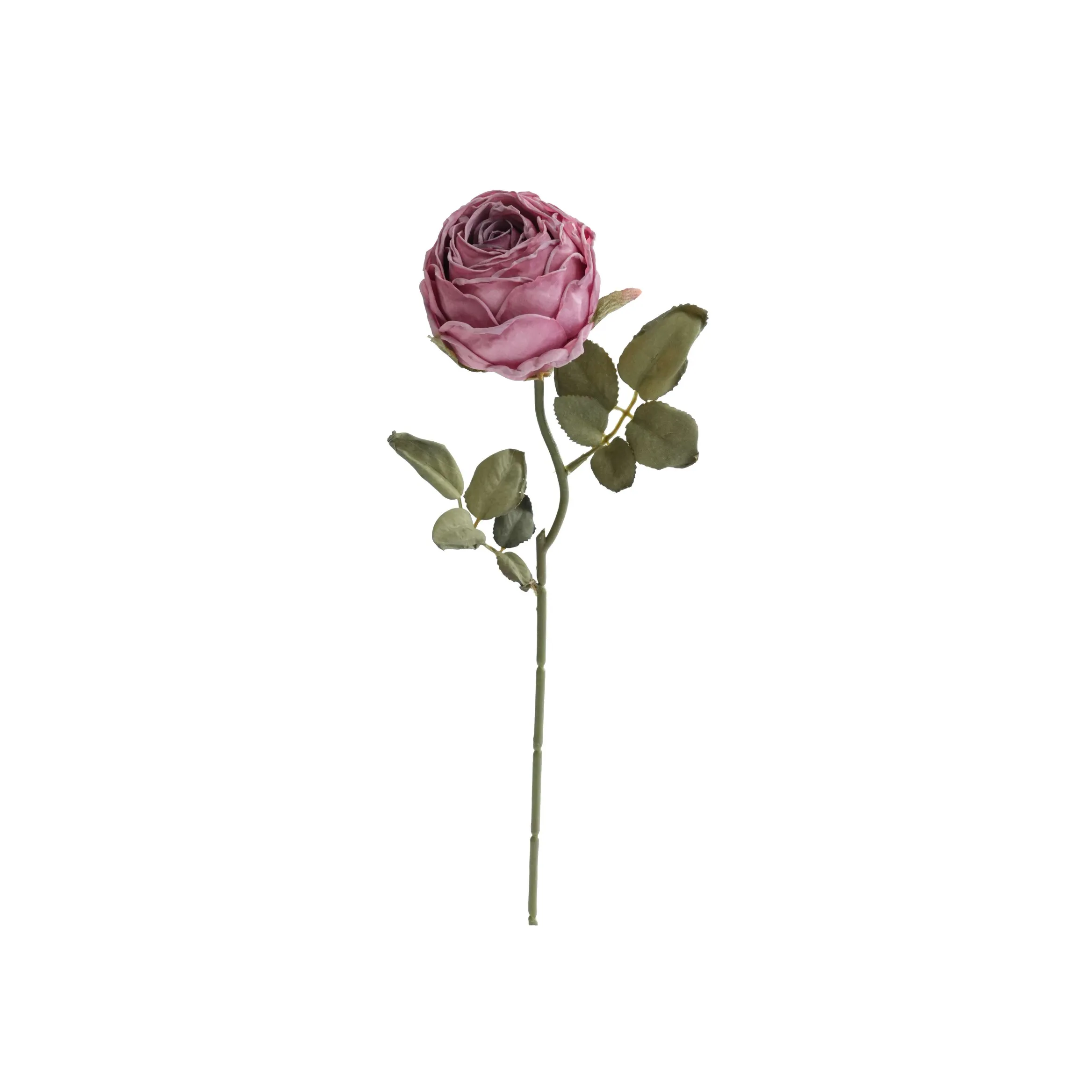 Roses rondes hachées