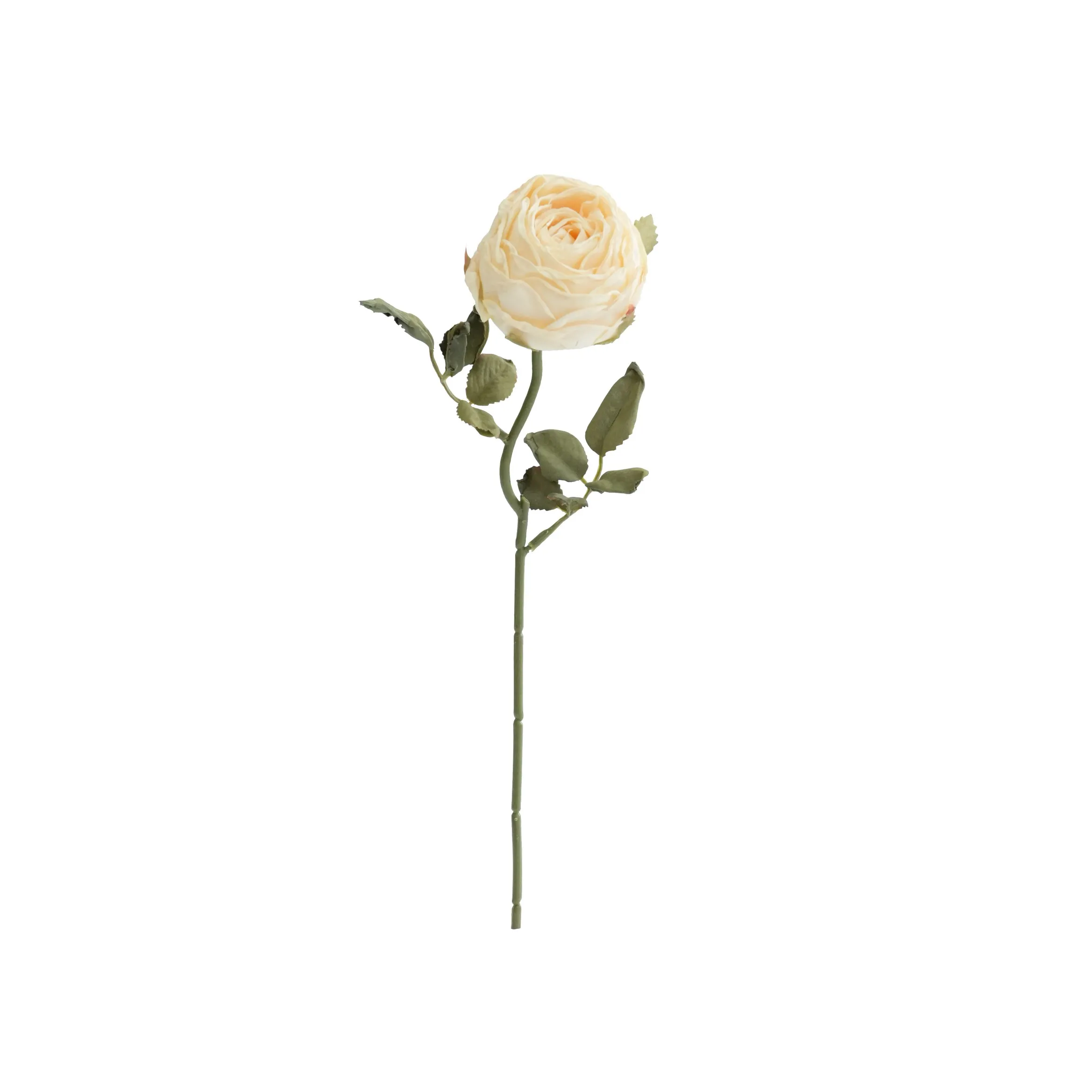 Roses rondes hachées