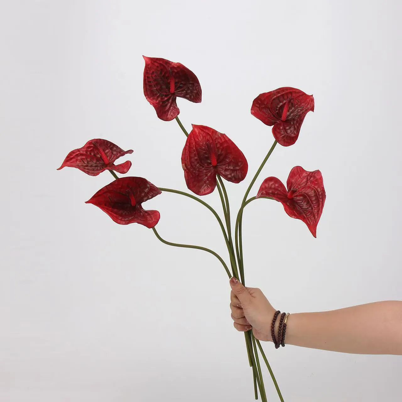 anthurium paume